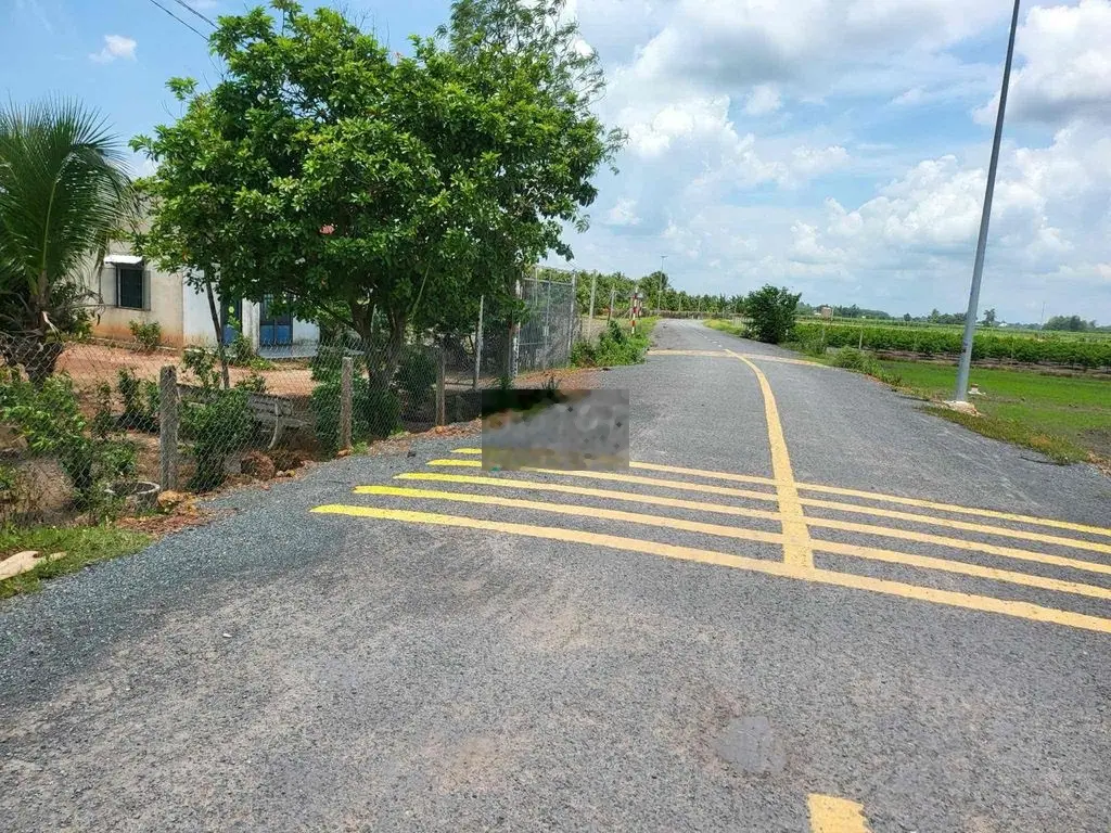 Đất thành phố Tây Ninh 265m2 - shr có thổ cư