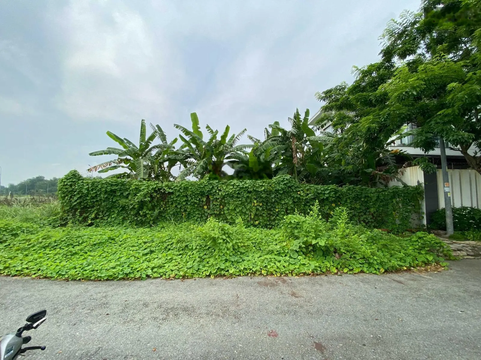 Bán mặt tiền trục chính KDC Phú Nhuận cách Đỗ Xuân Hợp và the Global city 300m