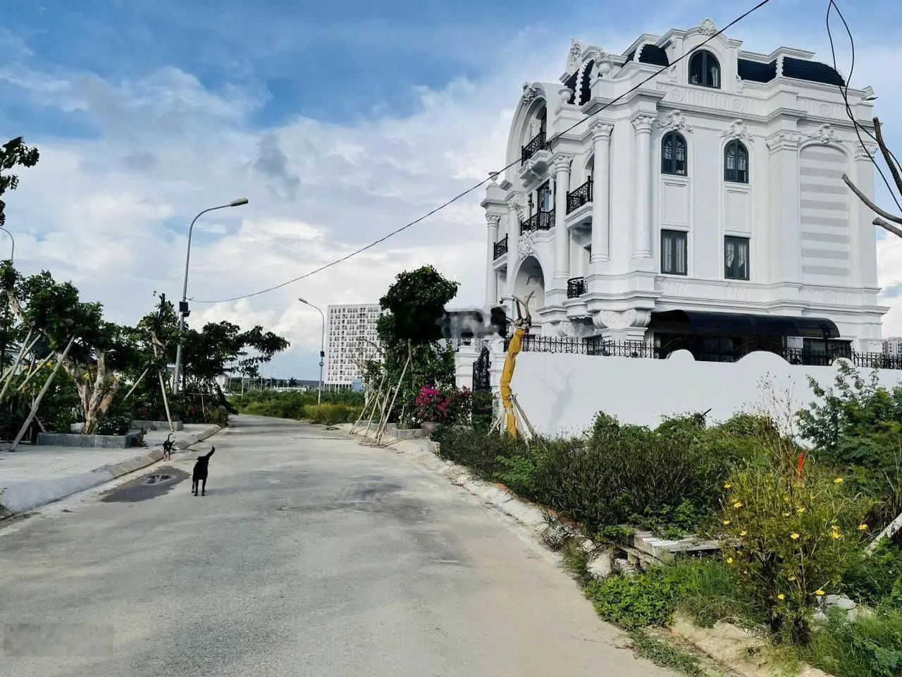 Còn khoảng 20 nền. Đối diện Global City(100-200tr/m2), cháy hàng đất nền Phú Nhuận(55tr/m2).