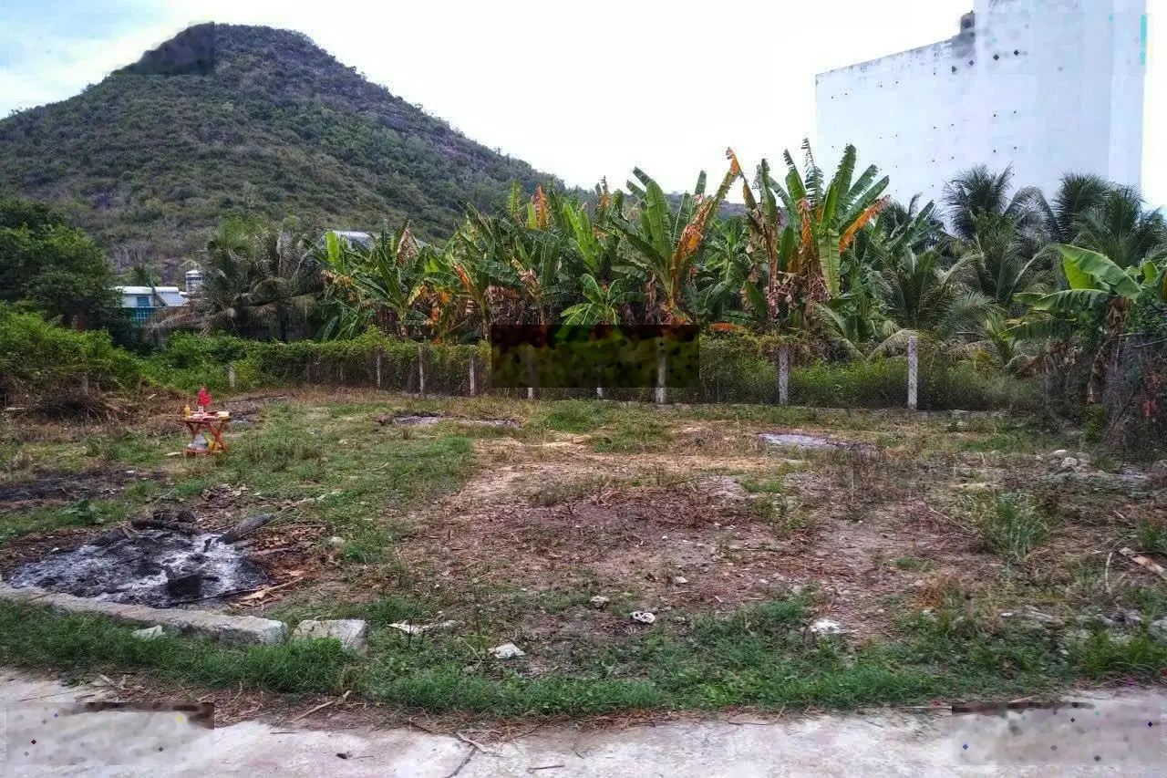 Đất dân tách bán giá rẻ chỉ có 03 lô thôn Xuân Lạc xã Vĩnh Ngọc