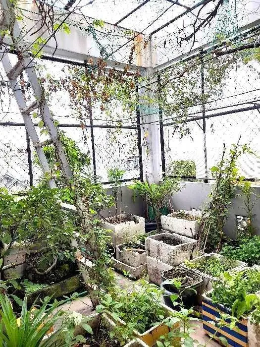 Nhà Hiếm Khó Tìm - Mặt Tiền Kinh Doanh Nở Hậu - Ngay Trường Học Tân Trụ-Tân Bình - DT 61m - 5 Tầng.