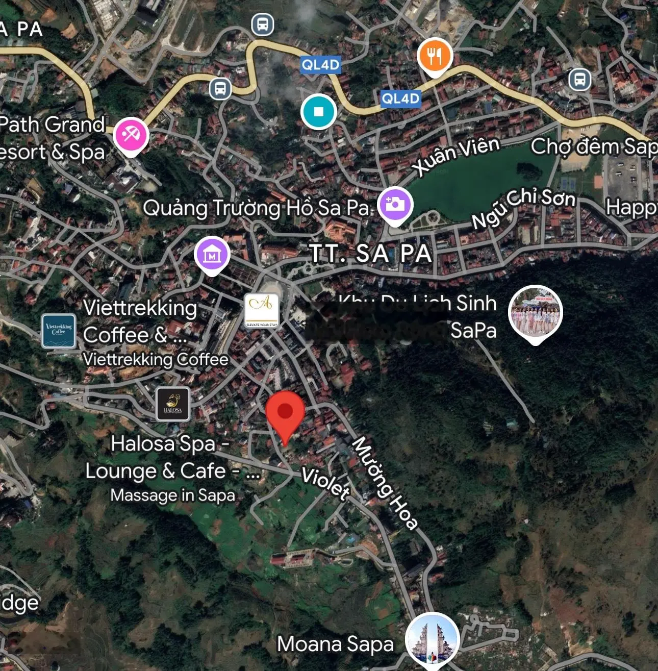Bán siêu phẩm Sapa 882m2, vị trí trung tâm Phường Sapa