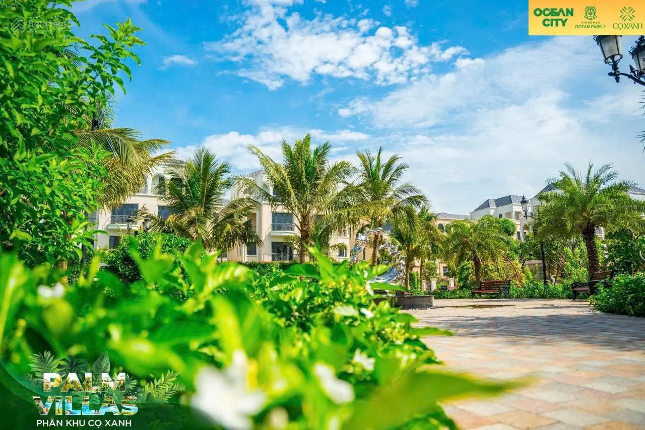 Tôi cần bán lại căn biệt thự song lập ở khu Cọ Xanh, view công viên tại Vinhomes Ocean Park 2