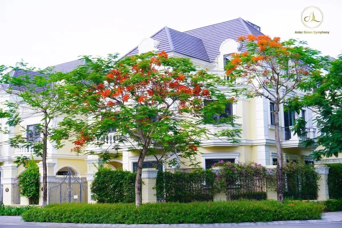 Bán biệt thự đơn lập giá tốt nhất thị trường , đô thị đồng bộ đẳng cấp 279m2 cách mỹ đình 3km