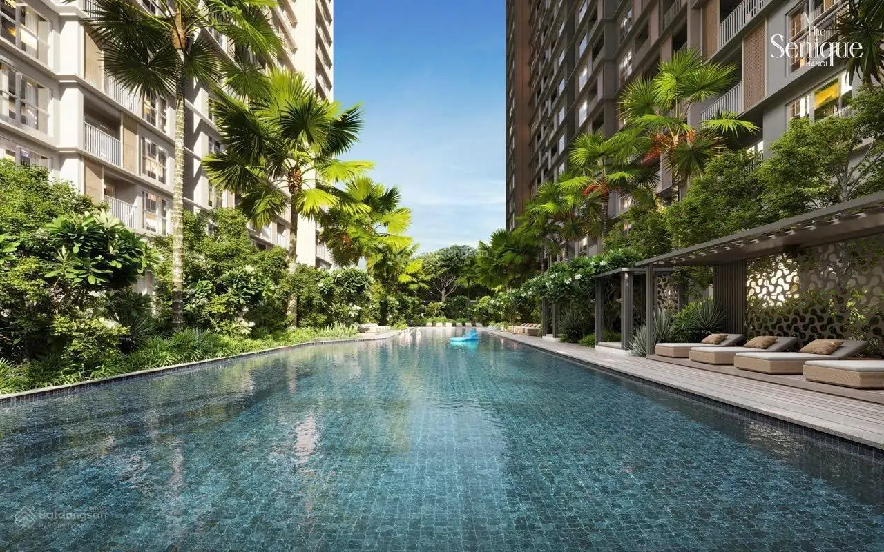 BIGHOMES đơn vị phân phối F1 của CĐT Capital nhận booking dự án chung cư The Senique giá gốc