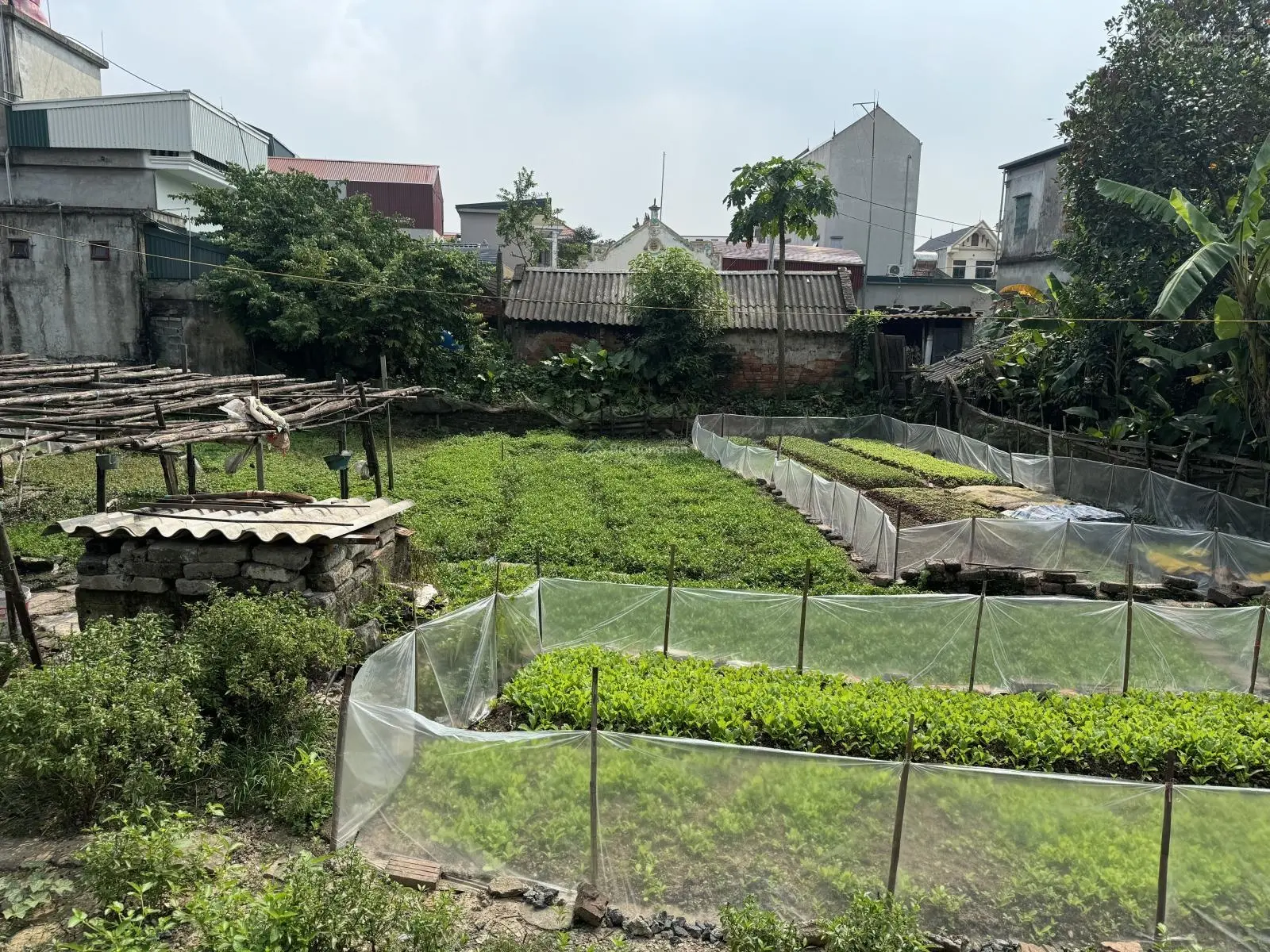 Cần bán đất giá 950 triệu VND tại phường Ninh Phong, Ninh Bình