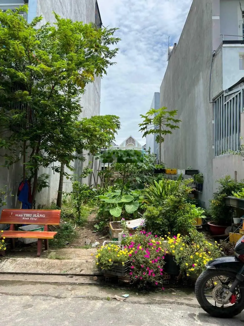Bán đất SHR 87.5m2 mặt tiền đường nhựa 1/ Trịnh Thị Miếng, Xã Thới Tam Thôn, Huyện Hóc Môn TPHCM