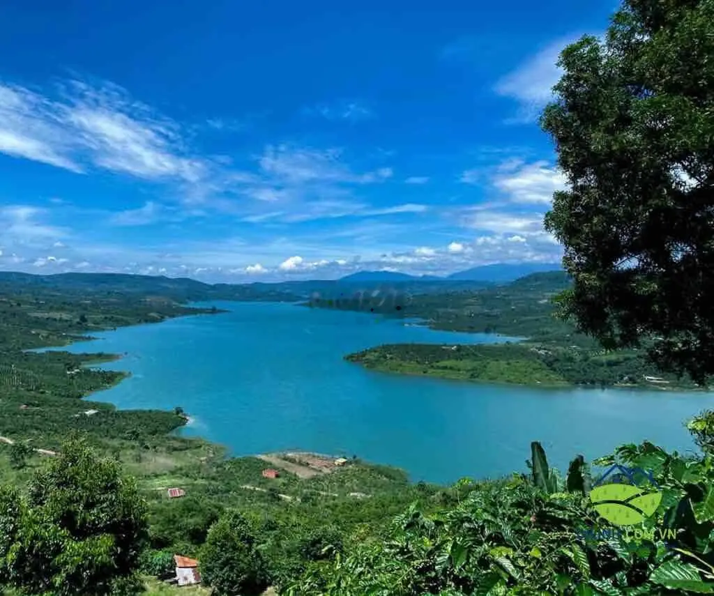 CẦN BÁN GẤP đất tại Di Linh view suối hồ bao đẹp