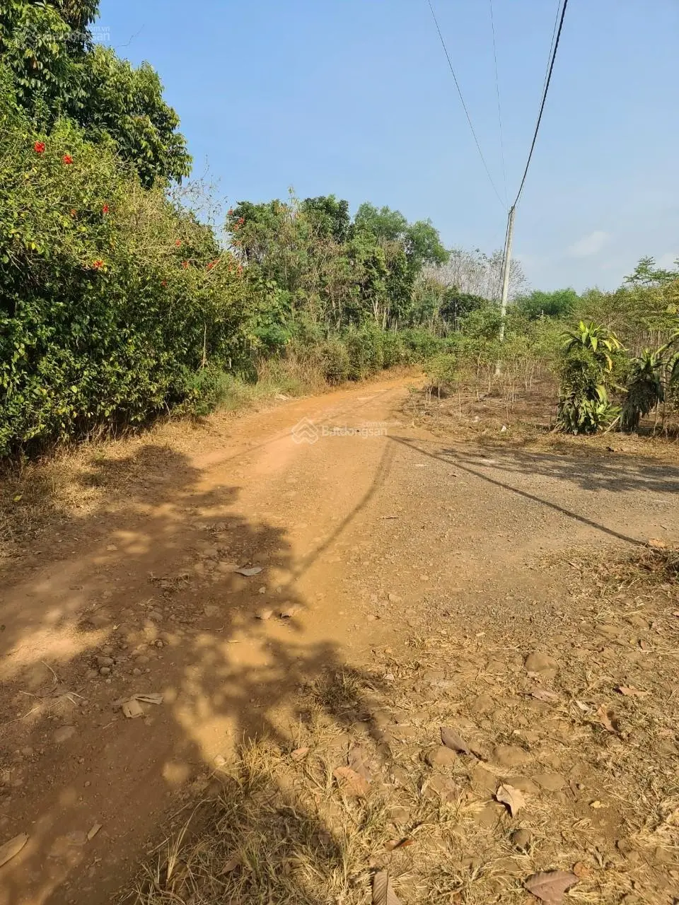 Bán đất trang trại xã Sông Trầu, Trảng Bom, Đồng Nai giá bán, có 2 nhà cấp 4, 2 dãy chuồng