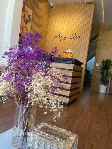 VIP nhà mặt tiền Bùi Thị Xuân P. Bến Thành Q1, DT: 4.5x18m, 4 tầng, HĐT: 80tr, giá 38tỷ