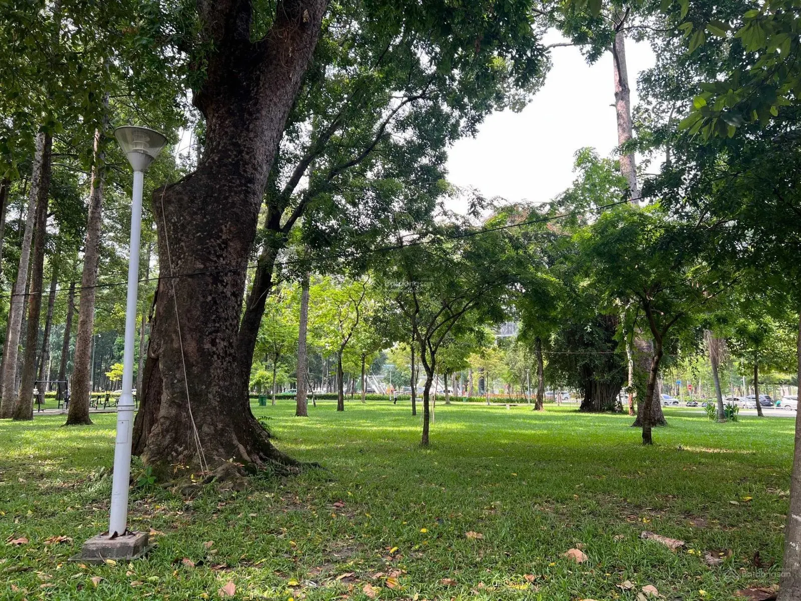 Bán đất hẻm xe hơi đường Bạch Đằng, 118m2, ngang 7,8m. Thích hợp xây CHDV, biệt thự