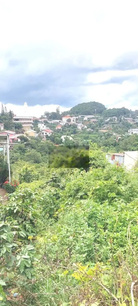 🏠816M LÔ ĐẤT KHE SANH P10 ĐÀ LẠT 🌲VIEW RỪNG THÔNG