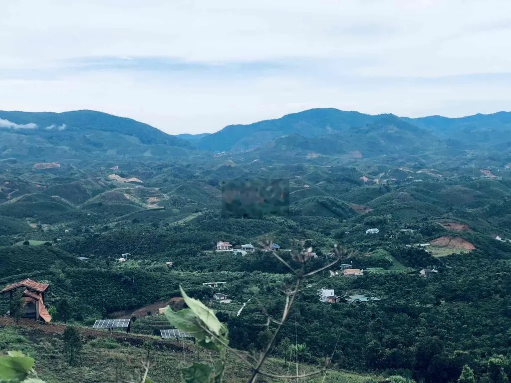 700tr - 1 sào Săn mây view thôn 10 Lộc Thành - Bảo Lâm - Lâm Đồng