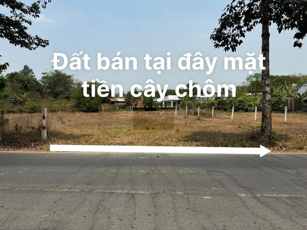 ĐẤT NGỘP CẦN RA NHANH LÔ ĐẤT 206M2 MT CÂY TRÔM, THÁI MỸ, CỦ CHI.