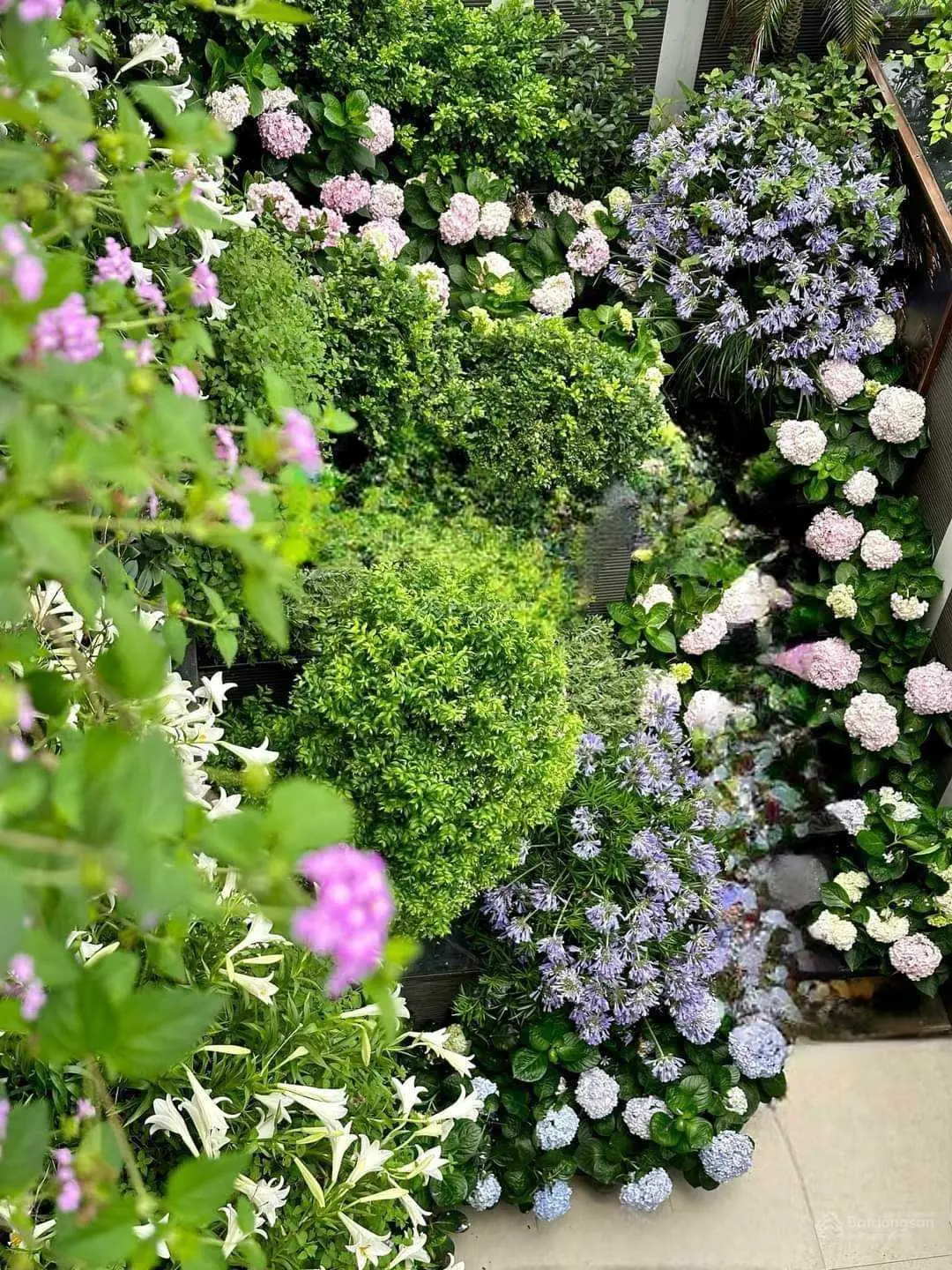 Rẻ nhất dự án An Lạc Green Symphony, căn xẻ khe hiếm đẹp, gần hồ, giá đầu tư, Vân Canh