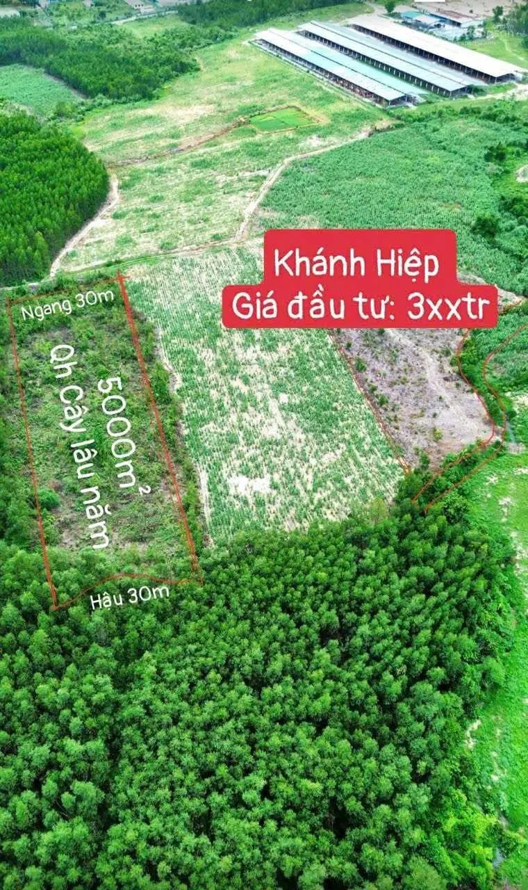 Đất giá rẻ dân bán, chỉ 350 triệu / 5000m2 QH cây lâu năm, tại Khánh Hiệp, KV. Lh: 0333 039 *** zalo