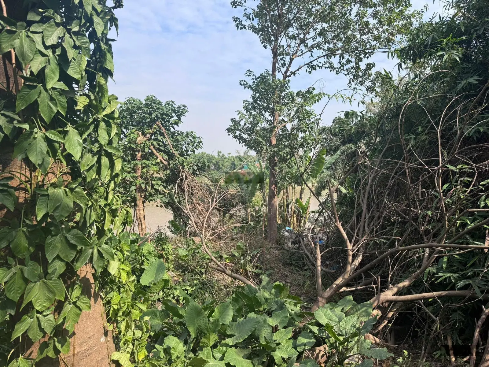 Hiếm, Long Biên, đất view sông, diện tích 637m2, 100% đất ở