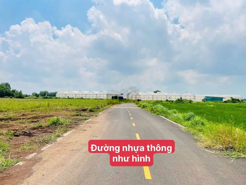 BÁN LÔ GÓC 2MT NHỰA NGANG 15M SĂN THỔ CƯ GIÁ CHỈ 1 TỶ 450 TL