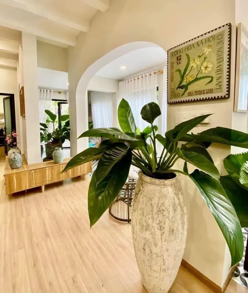 Bán biệt thự sân vườn kiểu Châu Âu - ngang 8m 200m2 đường 138, P. Tân Phú, TP. Thủ Đức (Q9)