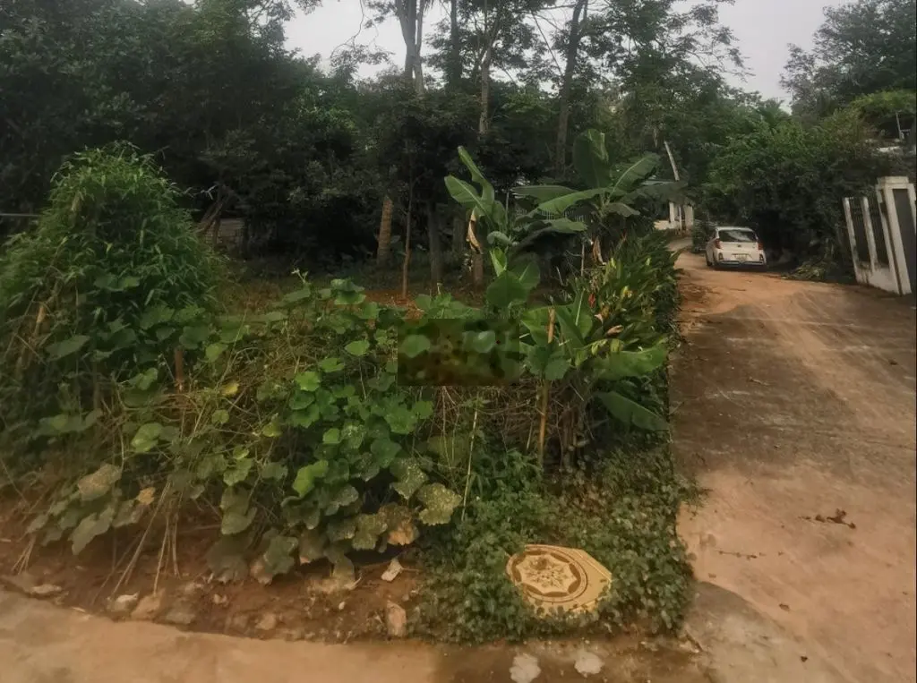 Bán đất tại Quang Trung, Tuyên Quang. Diện tích 315m2