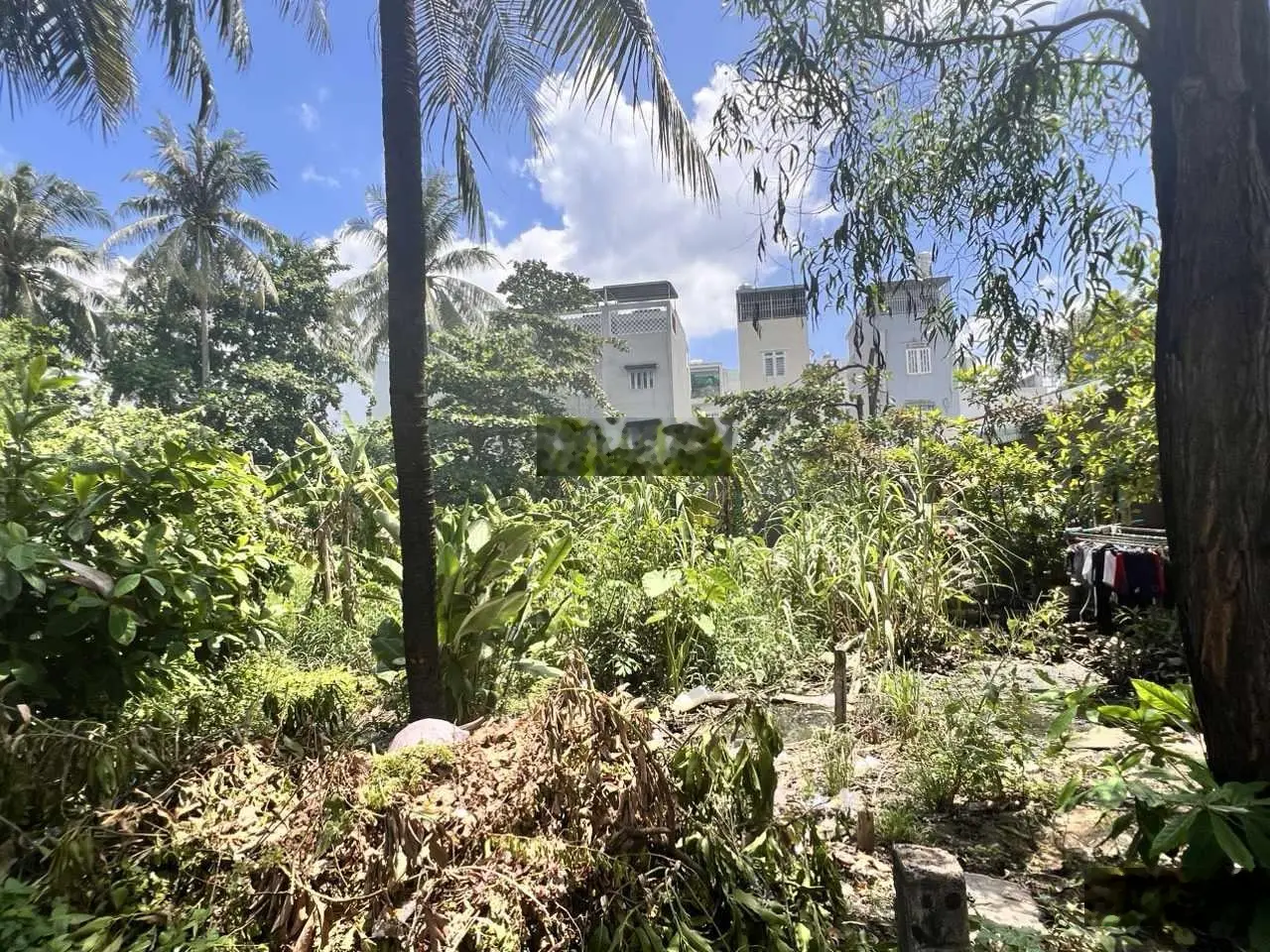 Bán 1522m2 đất nền - đường số 11 - Trường Thọ - Thủ Đức - giá chỉ 27 tỷ. (30 x 55) sổ hồng riêng