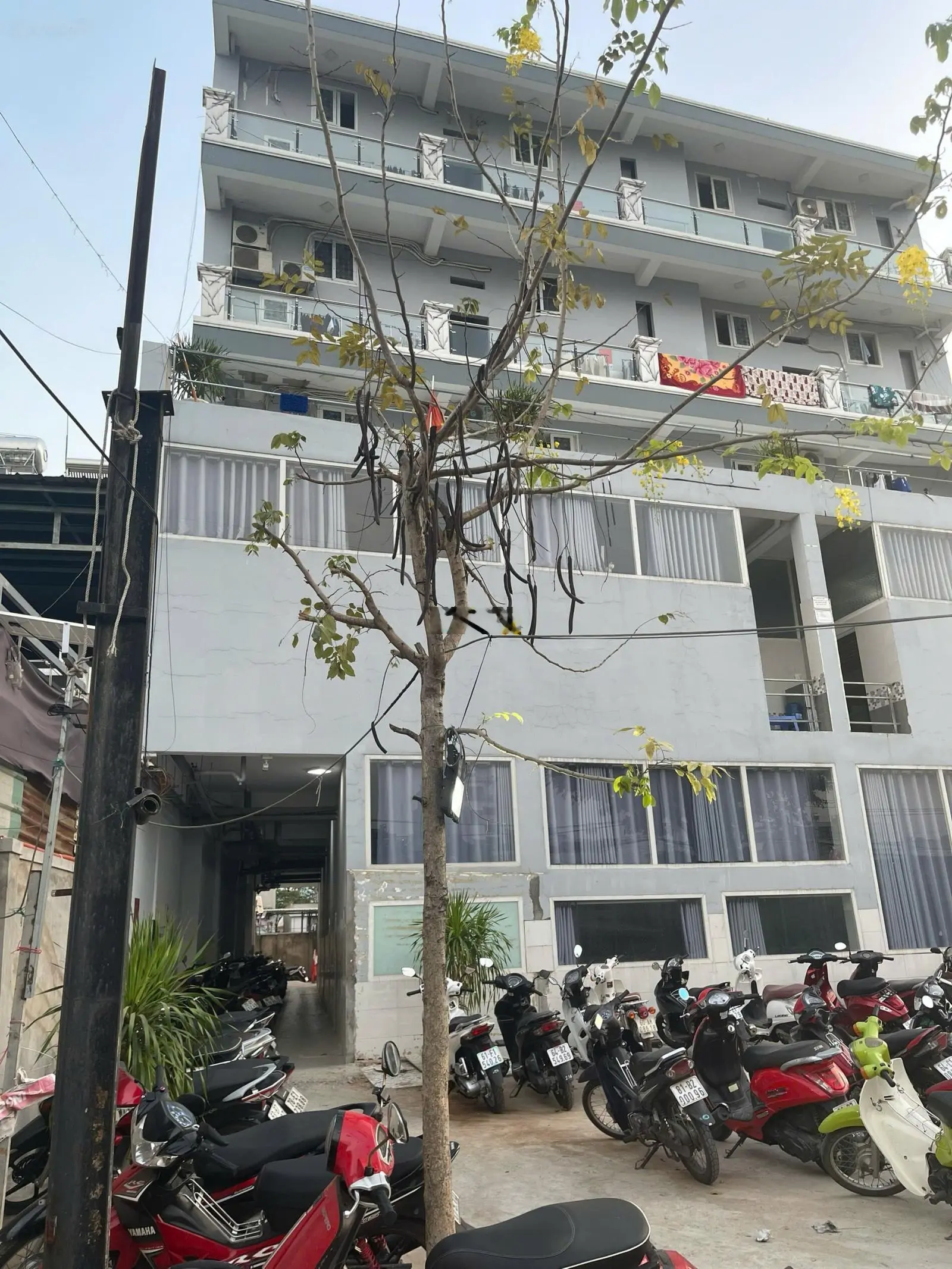 Tài sản có sẵn dòng tiền cực khủng gần 5 tỷ/năm giá 90 tỷ