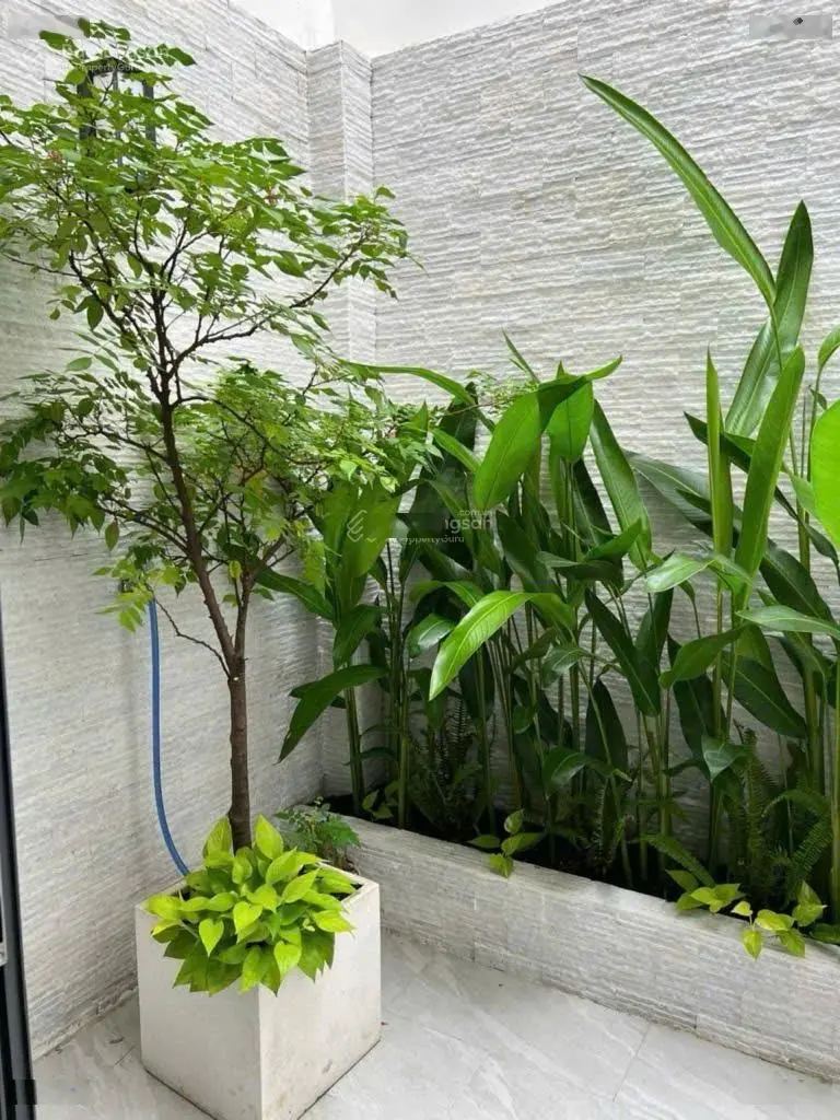 Nhà xinh - trung tâm bình thạnh - hẻm xe hơi - tặng nội thất cao cấp - 4 tầng - 60m2 - giá 8,9 tỷ