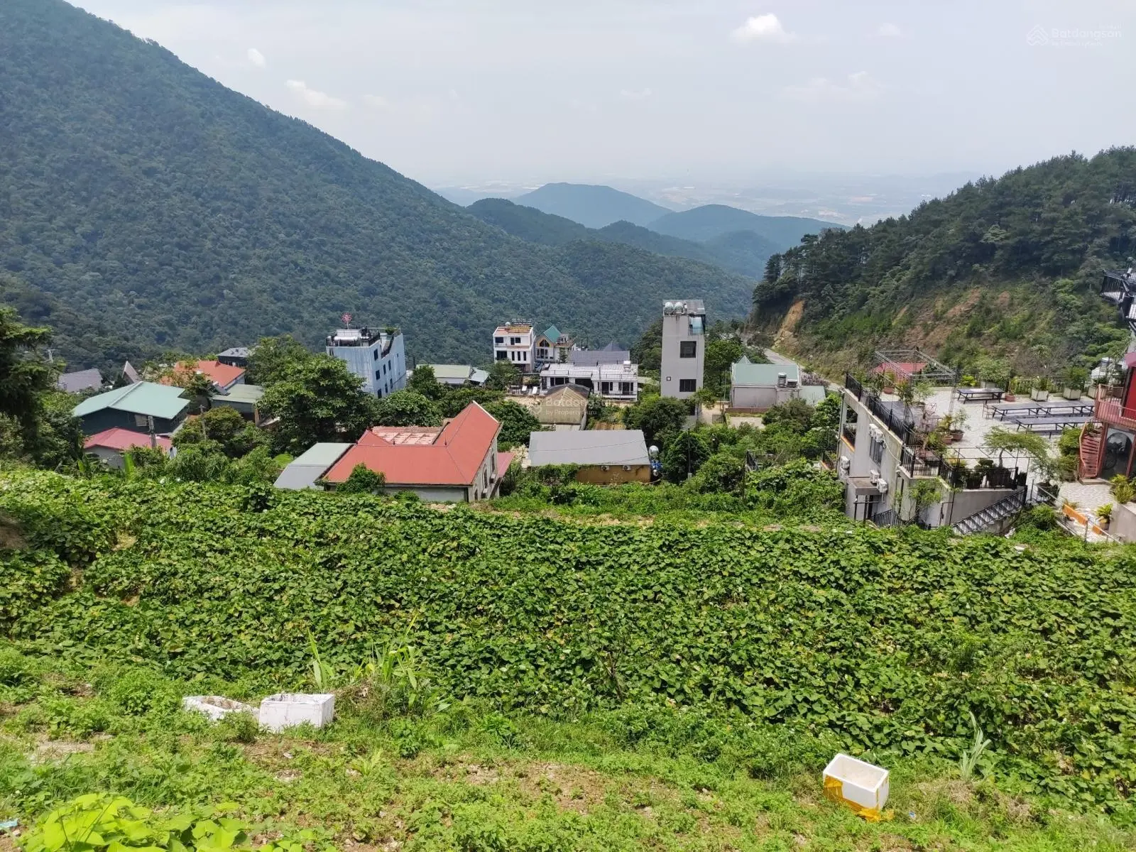 Bán đất thị trấn Tam Đảo, view núi, xây biệt thự, khách sạn kinh doanh lưu trú đỉnh cao, 767m, 26tỷ