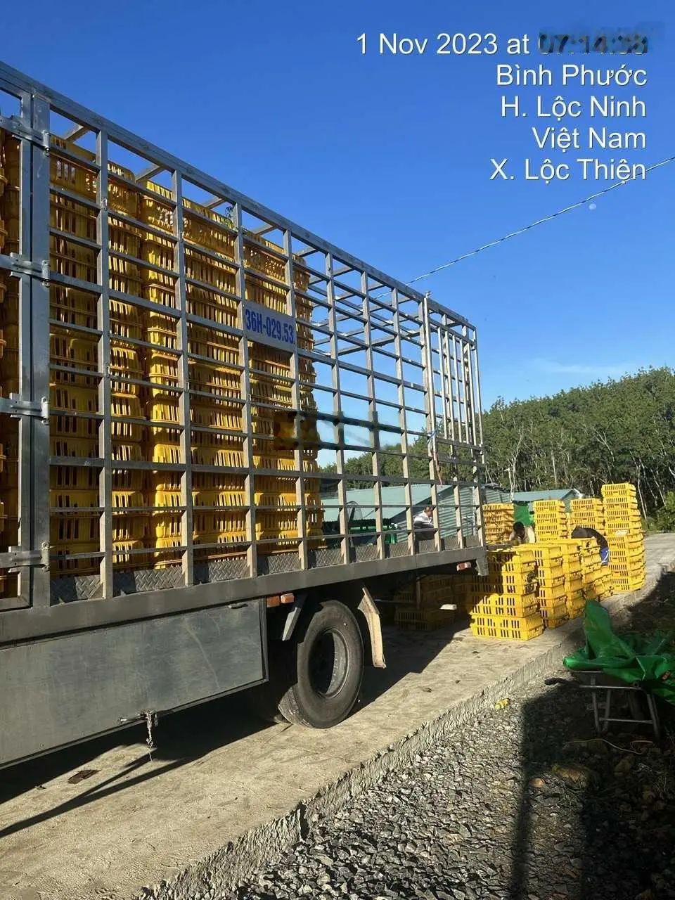 Chính chủ cần bán trang trại 7000m2 giá bán 4,5tỷ (mua lại được giữ HĐ thuê lại trại gần 300tr/năm)