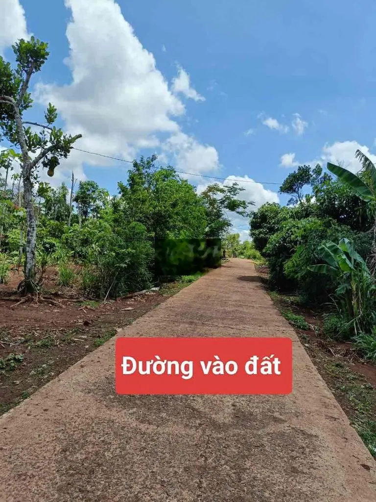 ĐẤT THỊ XÃ BUÔN HỒ Dt: 6*28 thổ cư 60m