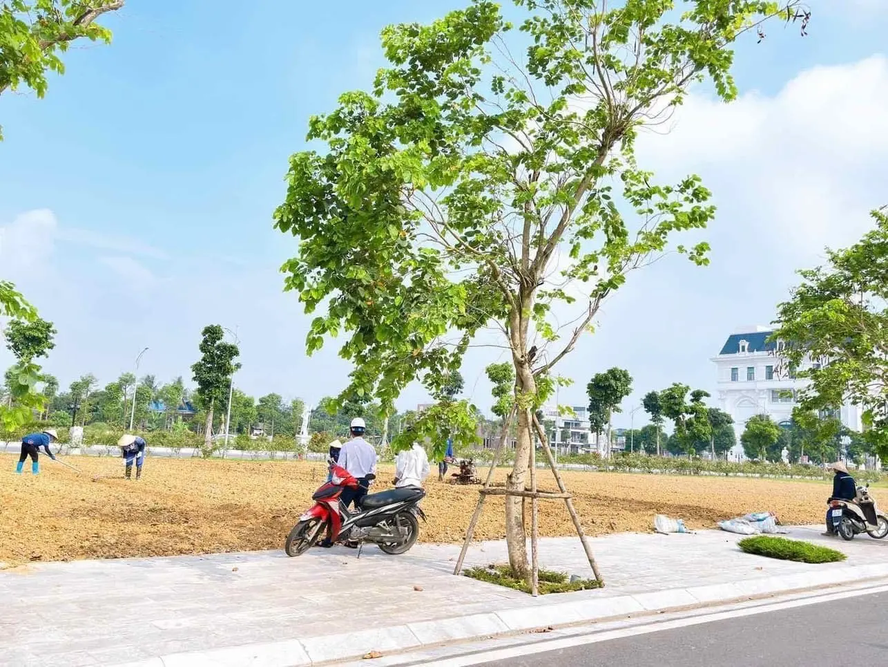 Cần Bán Gấp Đất Nền Dự Án Danko City Giá Siêu Rẻ