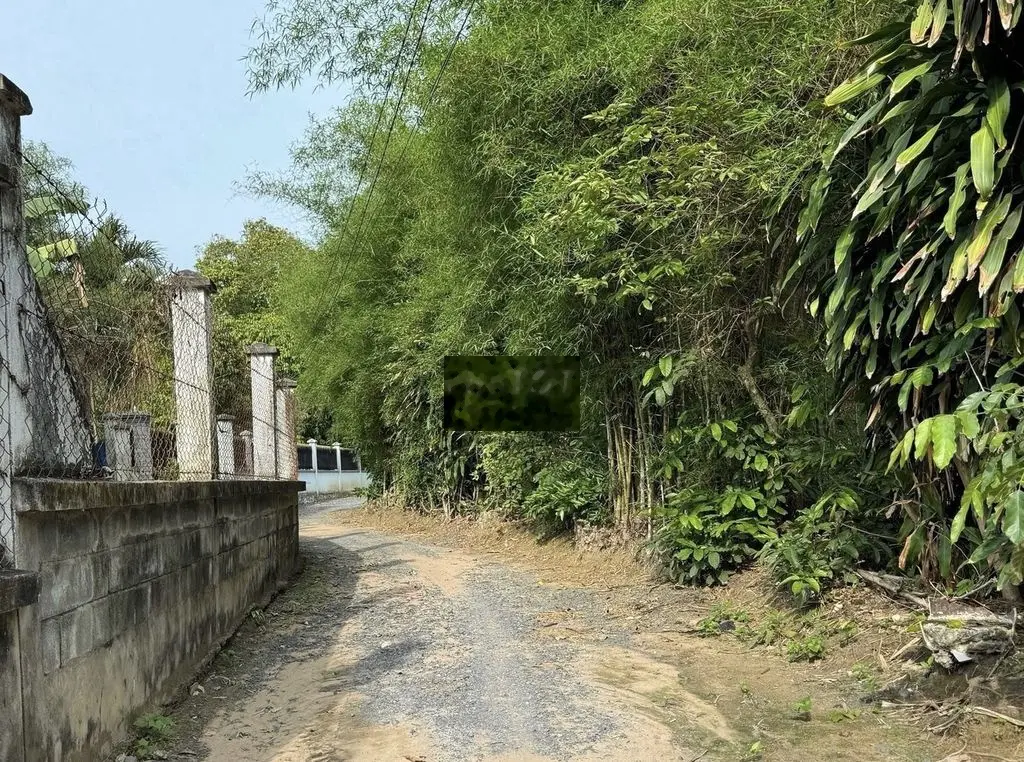 Làm ăn thua lỗ xã gấp lô đất 85m2 ngay chợ Phú Hòa Đông, chỉ 780tr.