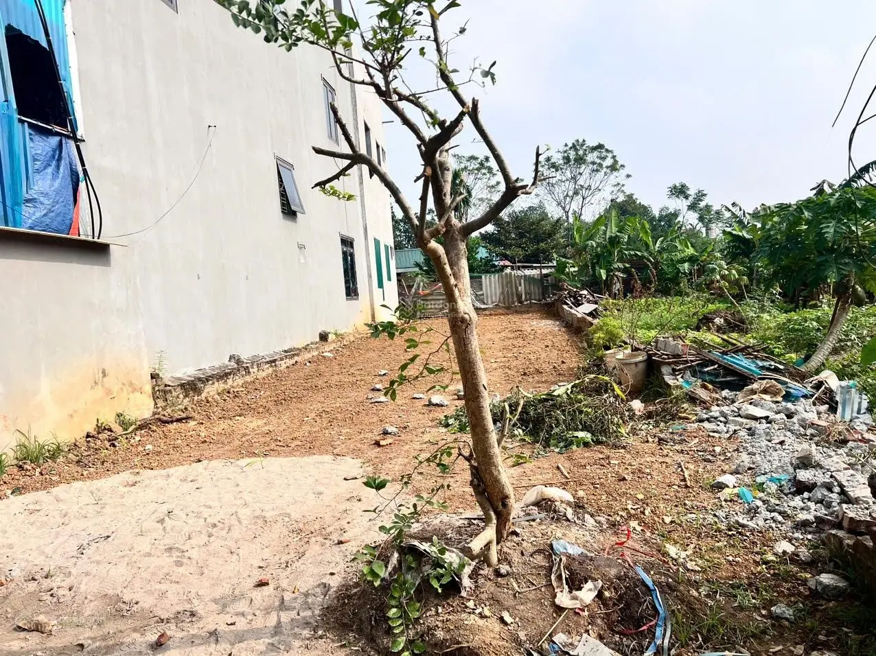 125m2 Phú Cát Quốc Oai Hà nội giá đầu tư