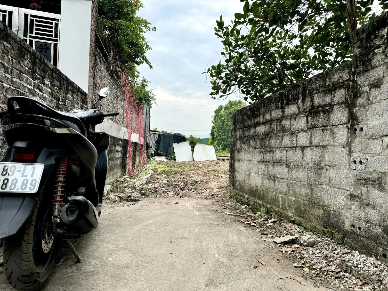 Bán Đất 286m2 Tam Kỳ, Nghĩa Trụ, Văn Giang, tiện ích bao vây đẹp không tì vết, thanh khoản nhanh