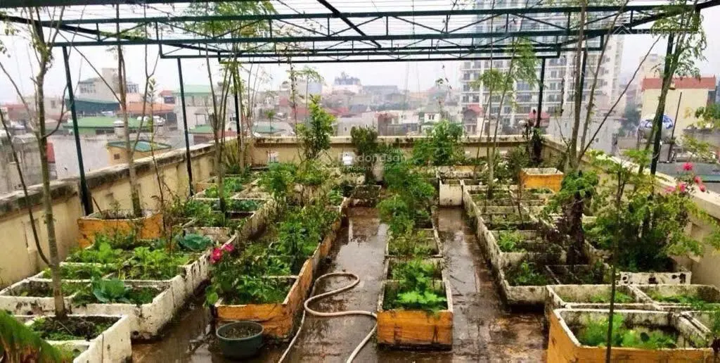 Trung tâm ba đình - nhà dòng tiền kết hợp ở- gần oto 73m* 7 tầng - 13.5 tỷ