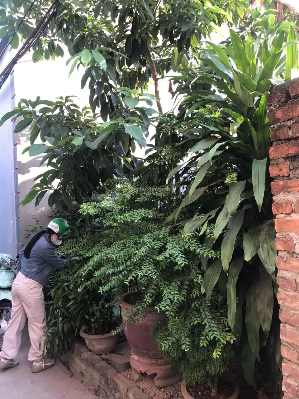 Bán đất sổ đỏ chính chủ 71m2 Lĩnh Nam .