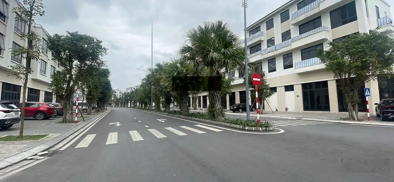 Siêu Phẩm Trình Làng Ecopank Hải Dương .Vị Trí đường đôi, sở hữu căn góc đắc địa 3 mặt tiền.