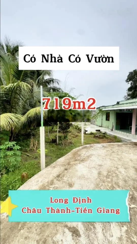 Bán nhà vườn chính chủ, ngang 26,5m - dài 24,5m ấp long hoà b, xã long định, châu thành, tiền giang