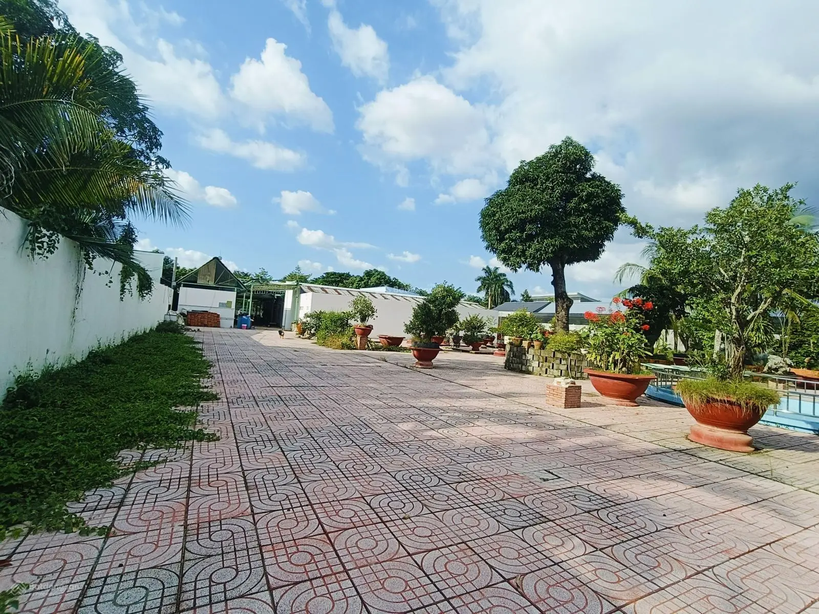 Bán đất DT 3400m2, full thổ cư. Ngay trung tâm hành chính Vĩnh Long, sát UBND, TT Hội Nghị VL