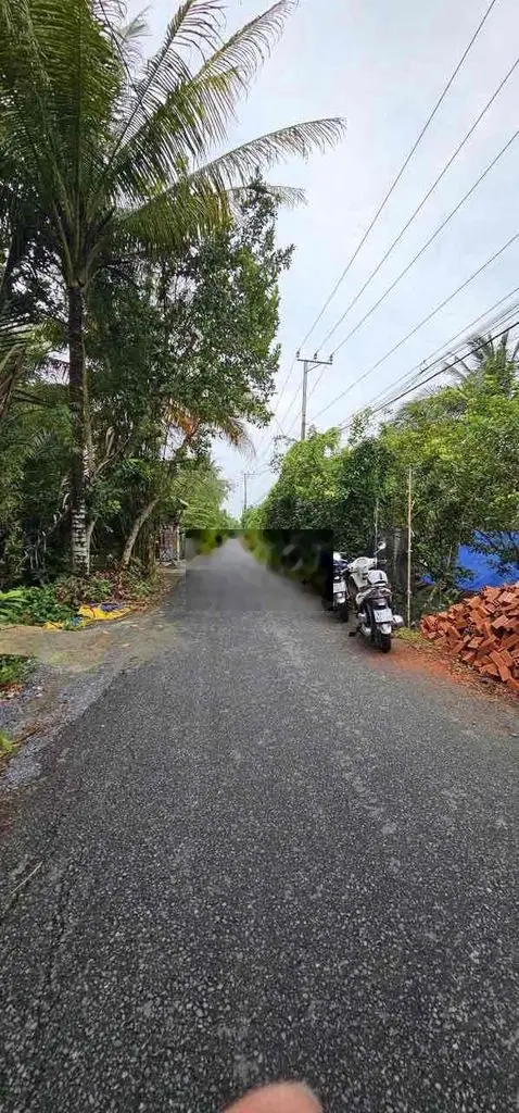 NỀN BIỆT THỰ GIÁ RẺ,CÓ SẲN VƯỜN CÂY ĂN TRÁI TRÊN ĐÁT