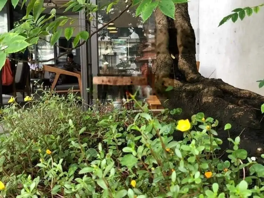 Bán gấp biệt thự KĐT Lê Trọng Tấn, Dương Nội, lô góc, kinh doanh siêu tốt, vỉa hè rộng, vị trí đẹp