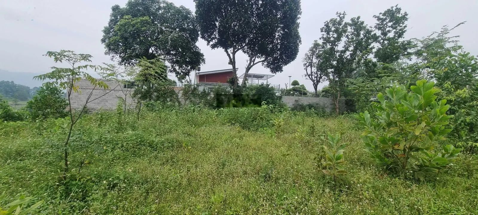 Bán 3269m2 đất tại Cư Yên, Lương Sơn, Hòa Bình giá đầu tư