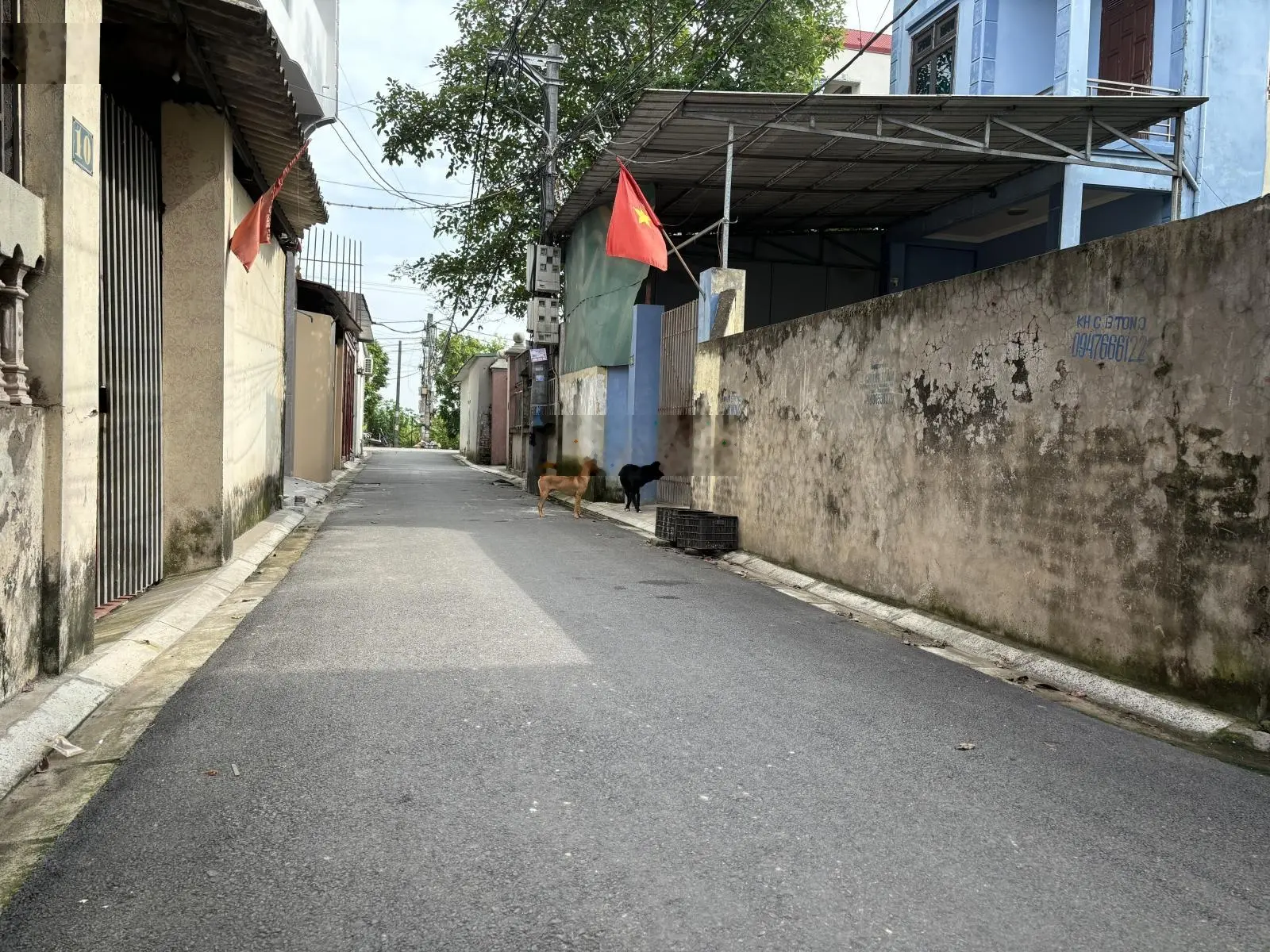Siêu phẩm 98m2 đất khu giãn dân Trung Oai Đường ô tô thông