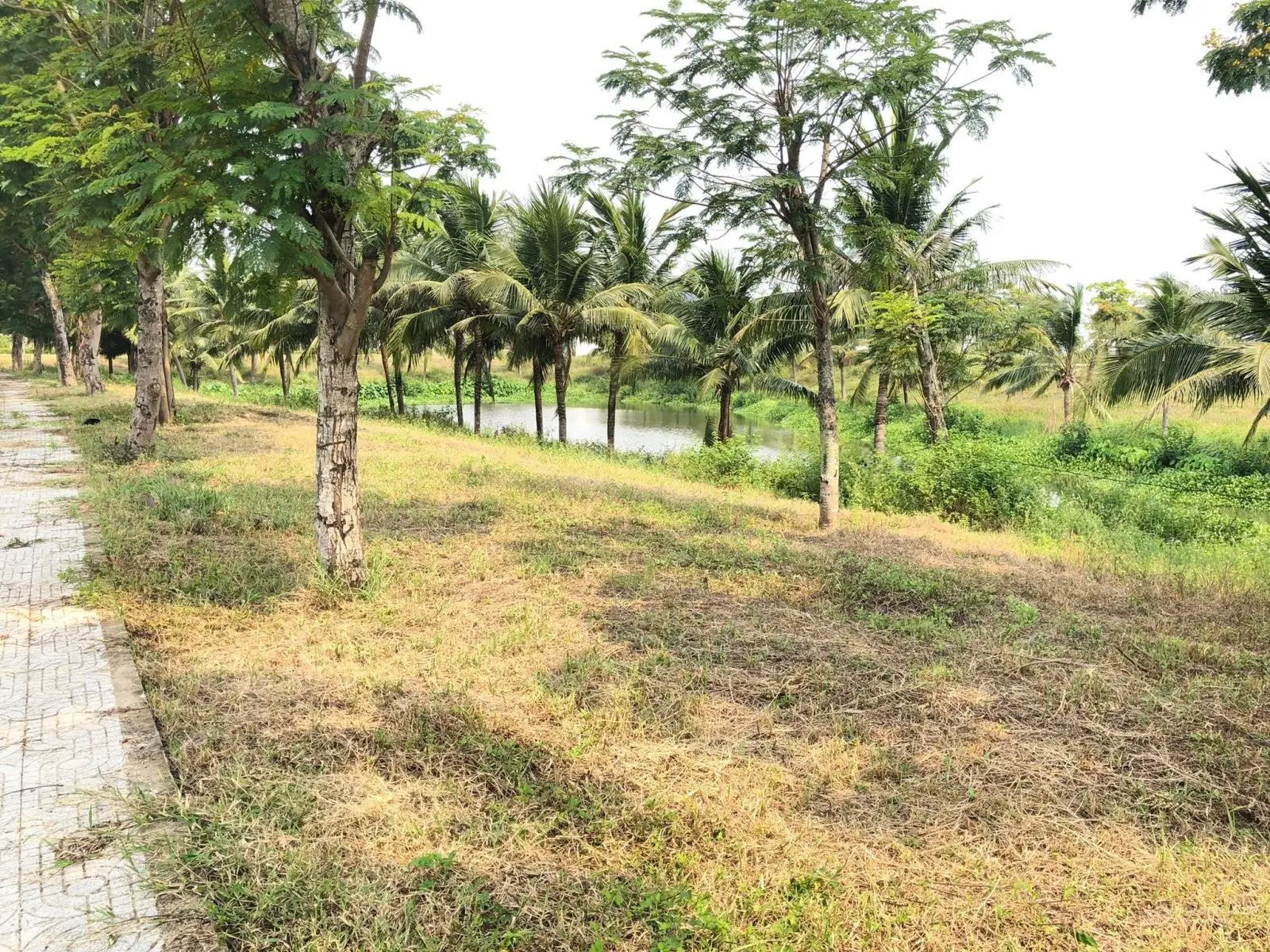 Đất biệt thự FPT Đà Nẵng, View kênh sông Cổ Cò, 2 mặt tiền, giá chỉ 29,5 triệu/m2, 600m2