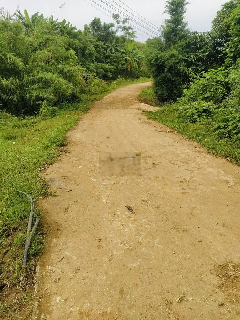 CẮT LỖ LÔ ĐẤT ĐẦU TƯ VÀ KHAI THÁC NGHĨ DƯỠNG CAO PHONG – HÒA BÌNH