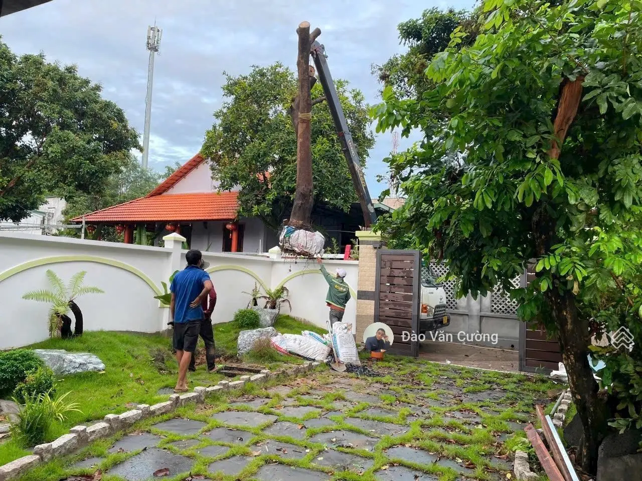 Bán nhà vườn 156m2 giá 3.9ty diện tích 156m2 (8x20) p. Tân bình thành phố dĩ an bình dương