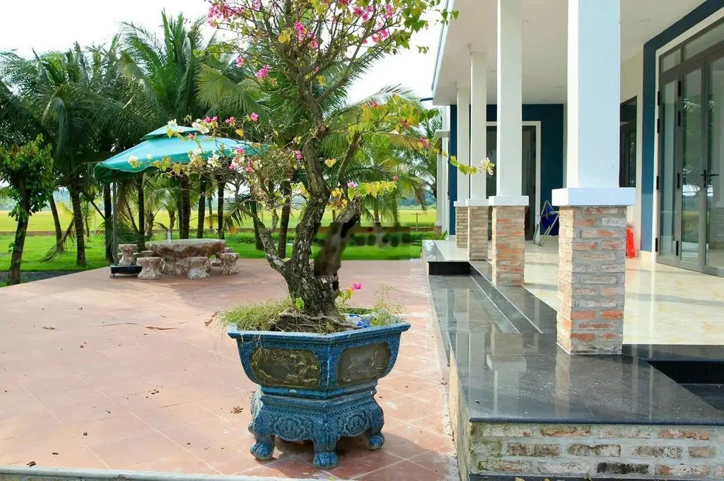 Nhà Vườn 6.000m2 gần UBND Trung Lập Hạ