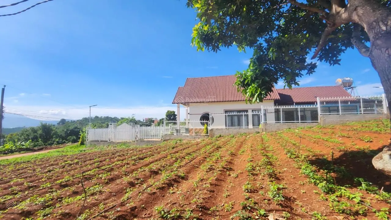 Đất Lâm Đồng. Bán lô góc view đẹp ven Đà Lạt