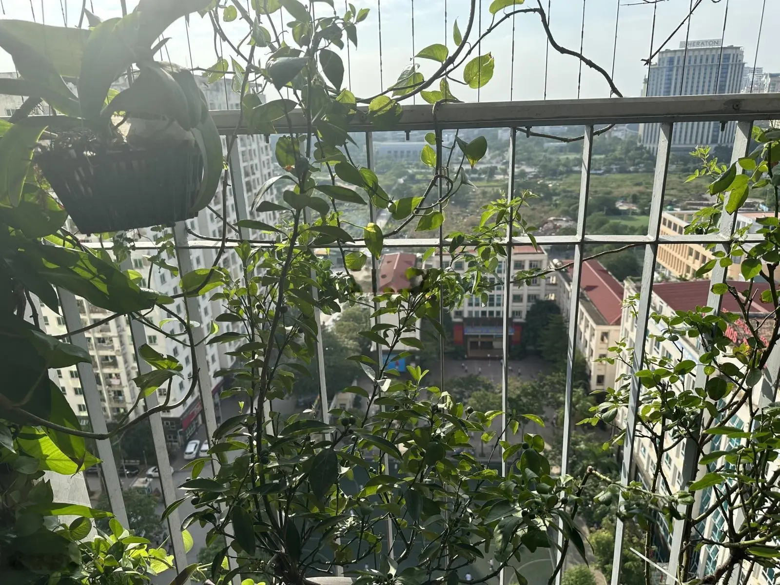 Gia đình bán căn hộ 3 pn, 2 pt tại 789 bộ quốc phòng - 147 hoàng quốc việt, 6 tỷ đầy đủ nội thất