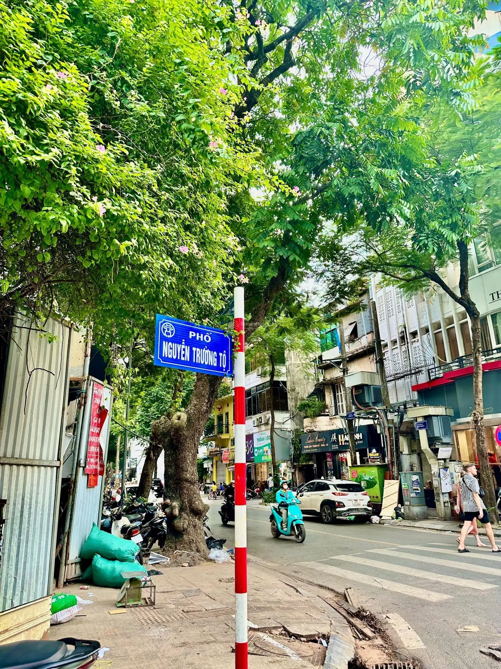 Cần bán nhà mặt phố Nguyễn Trường Tộ, Ba Đình. DT Sổ 115m2 x 9T, MT 6m. KD thương mại sầm uất